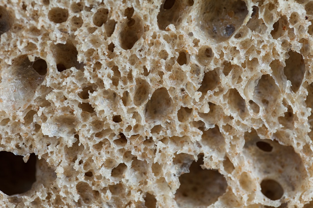 5 Common Mistakes with Sourdough Starter Care & Revival (And How to Avoid Them)