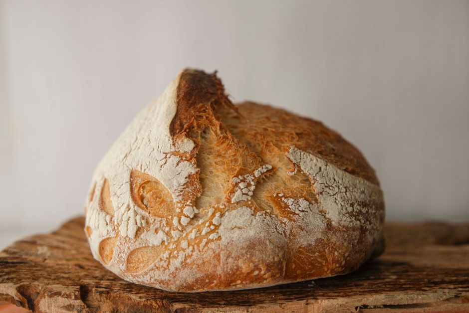 Common Myths About Sourdough Starter Care & Revival I Stopped Believing