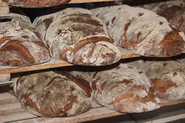 My Field Guide to Scoring Patterns & Oven Spring : What Actually Works
